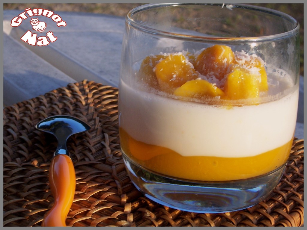 panna cotta coco-mangue