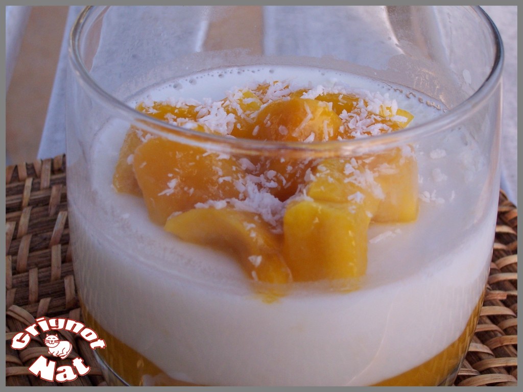 panna cotta coco-mangue 2