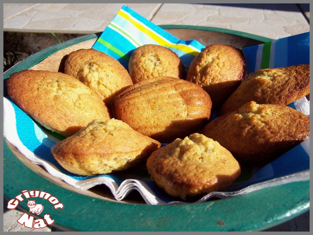 madeleines noisette et chocolat