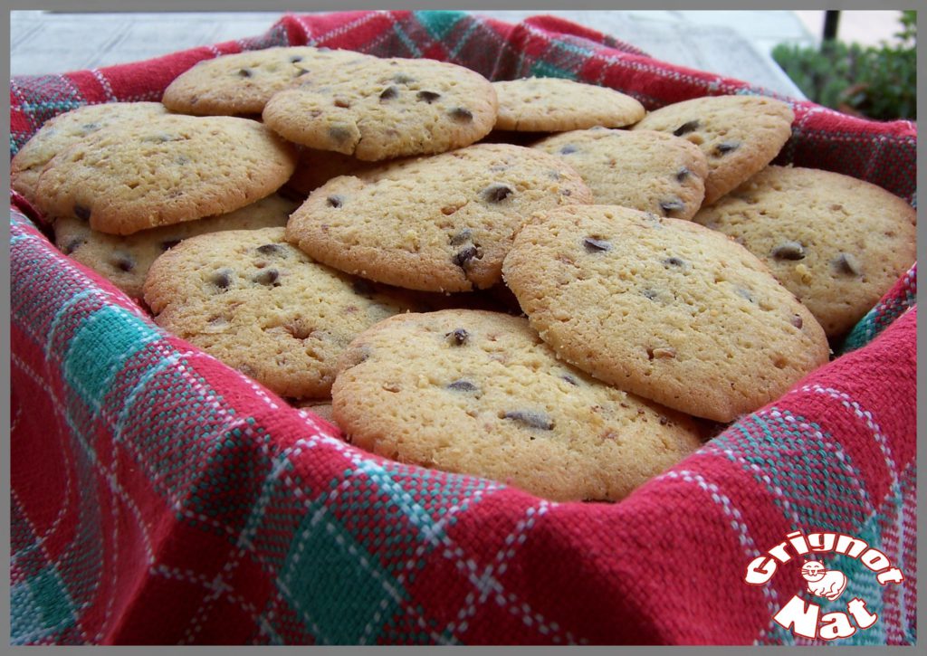 cookies chocolat noir et pralin