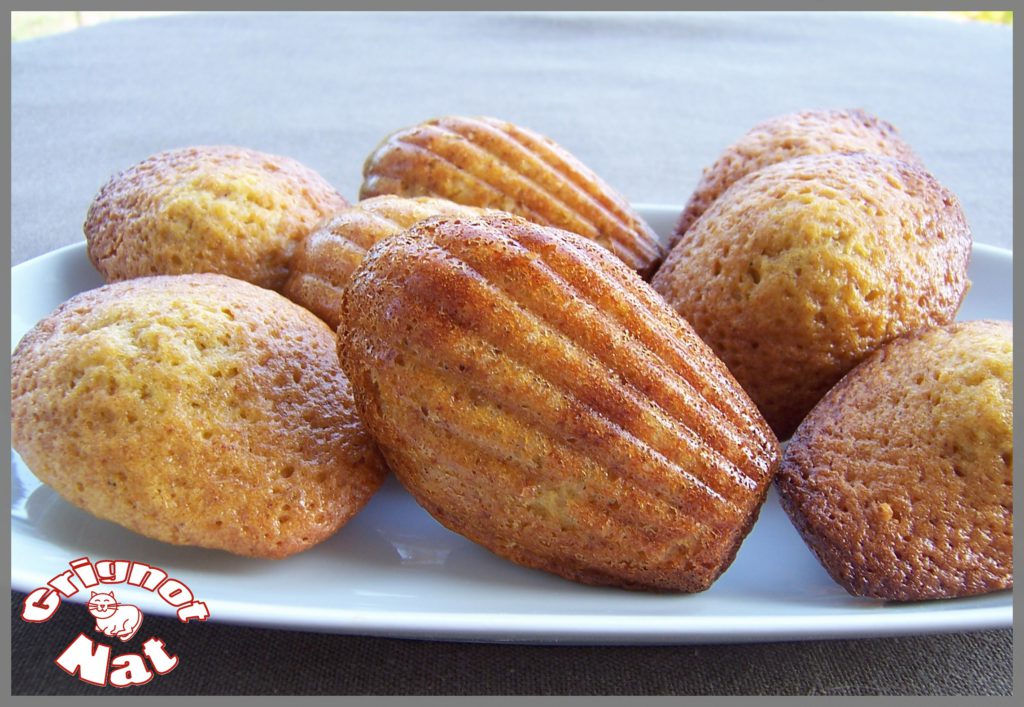 Crème chocolat noir et madeleines au pain d'épices 2