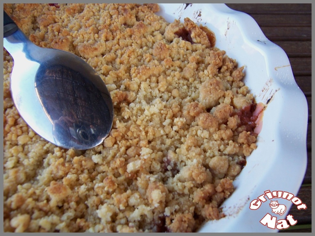 Crumble aux figues et aux abricots 3