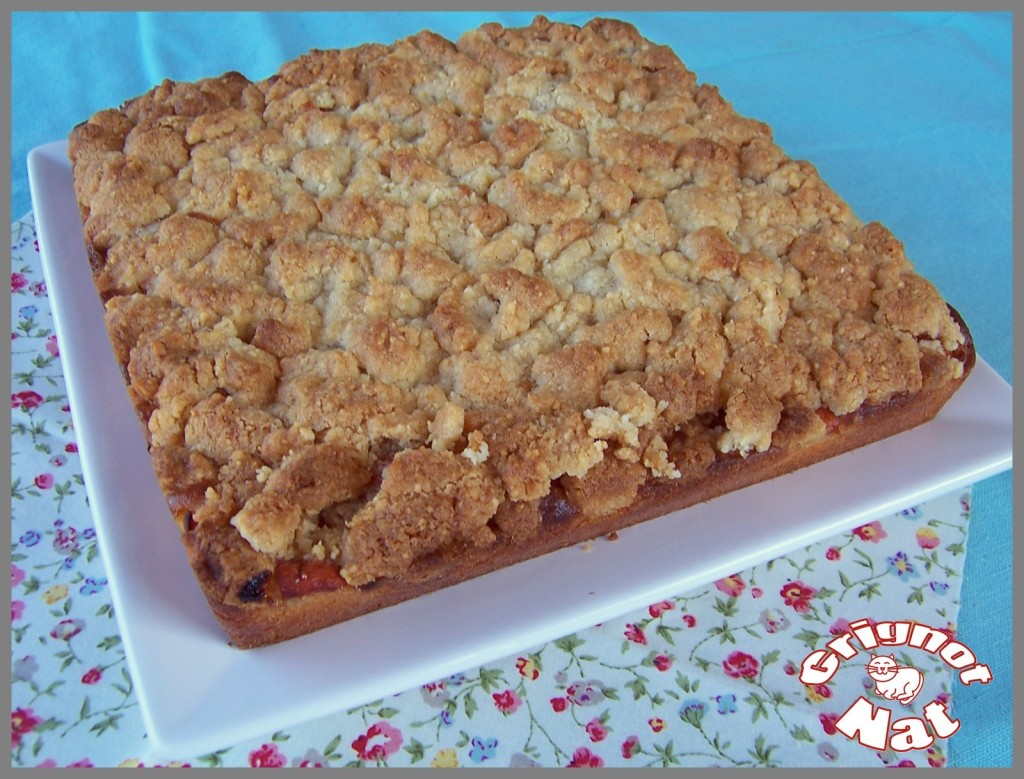 Gâteau moelleux aux abricots et son crumble 3