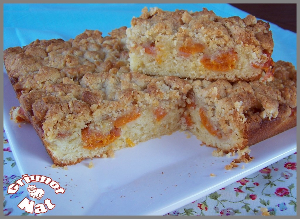 Gâteau moelleux aux abricots et son crumble