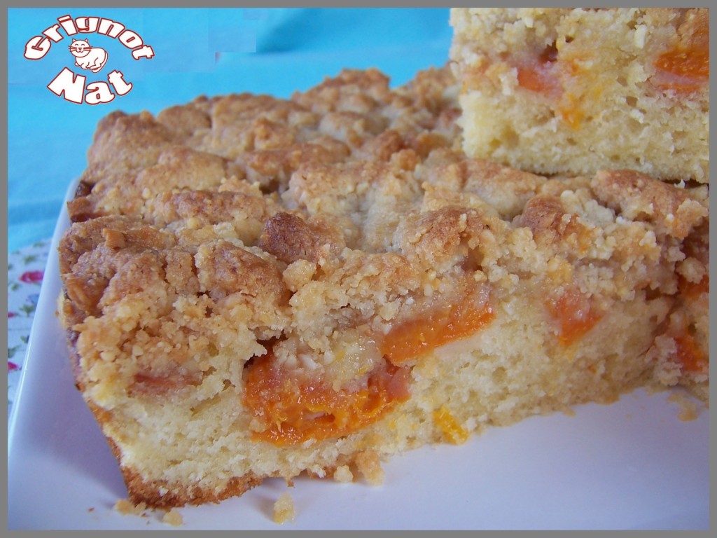 Gâteau moelleux aux abricots et son crumble 2