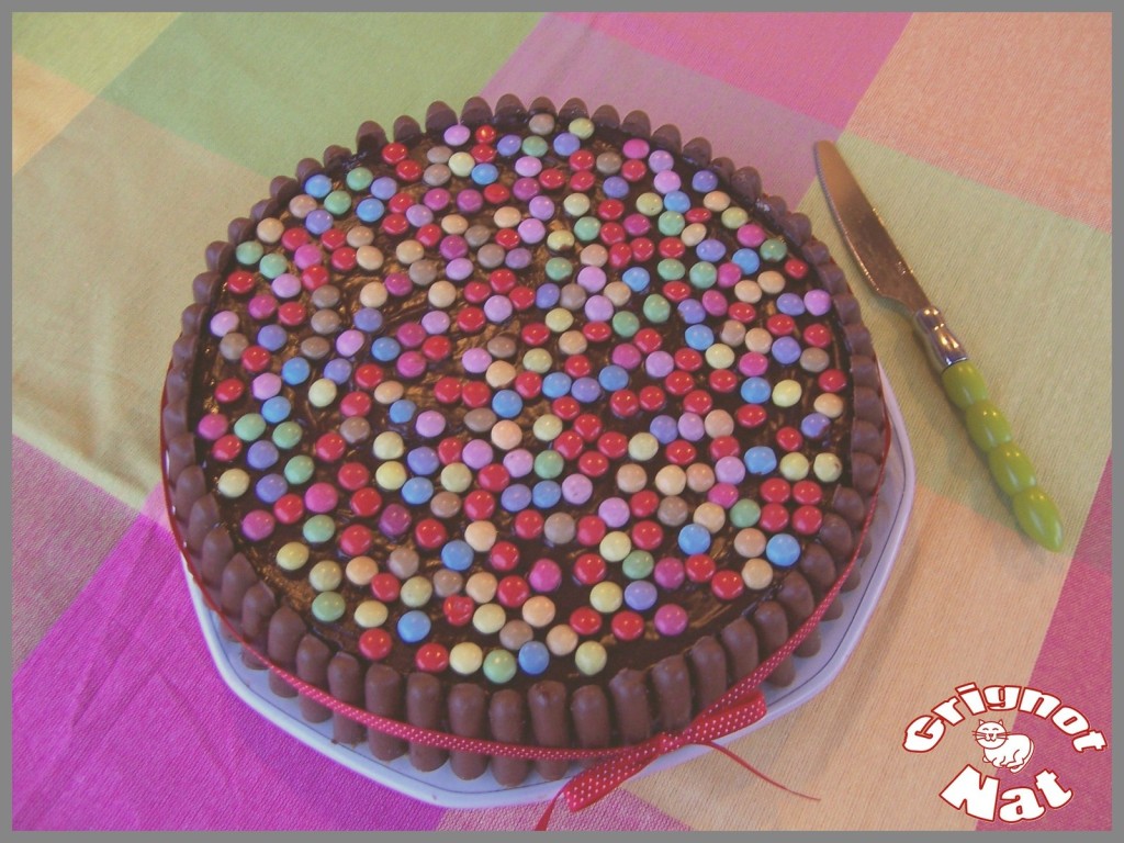 Gâteau d'anniversaire aux fingers et aux smarties 3