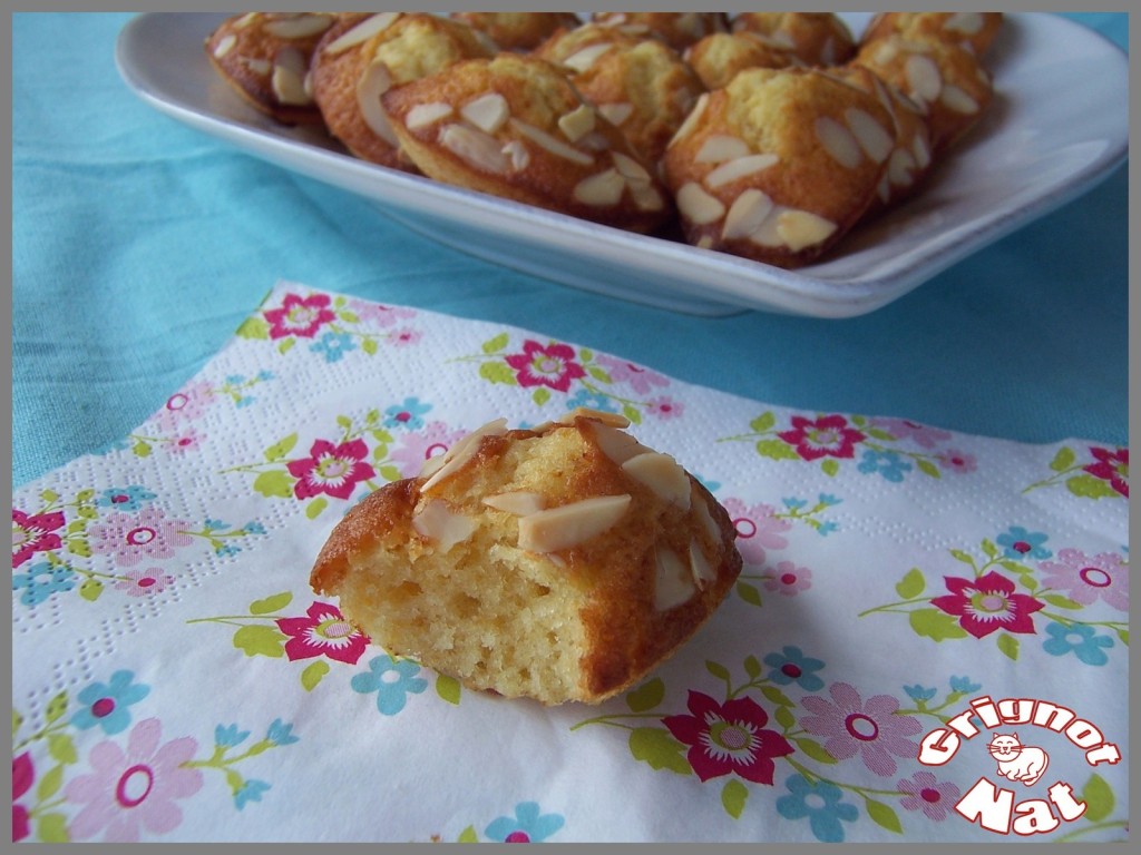 Madeleines au miel de lavande et amandes effilées2