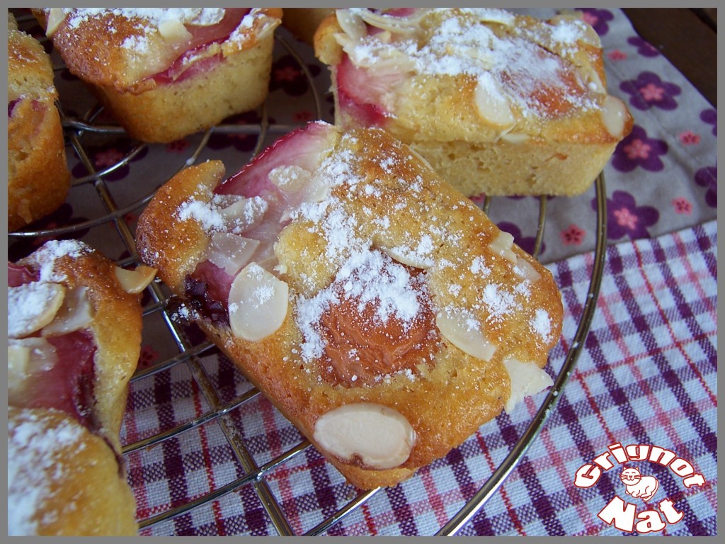 mini cakes abricots et nectarines 2