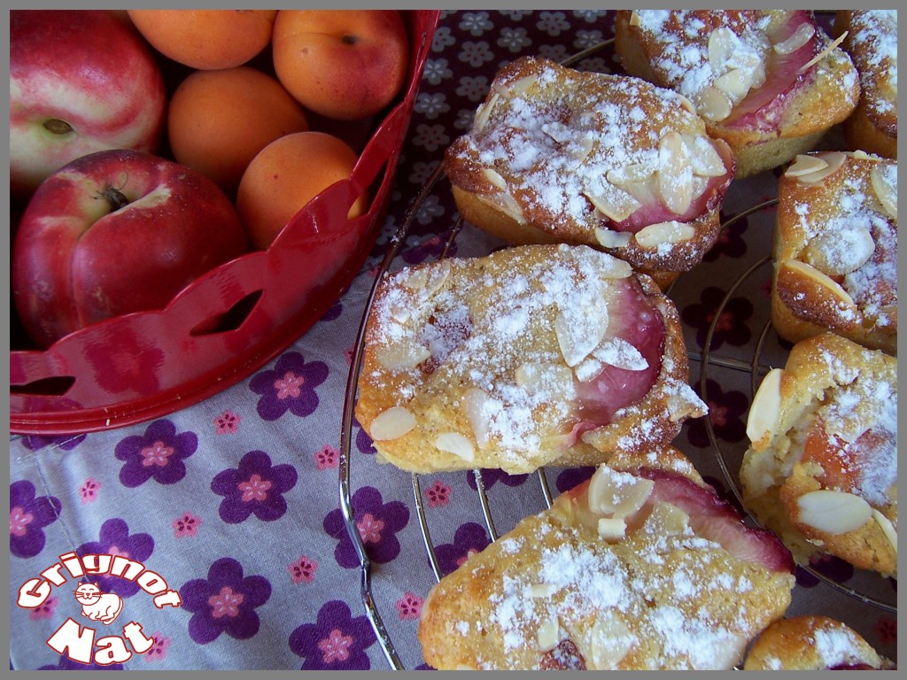 mini cakes abricots et nectarines
