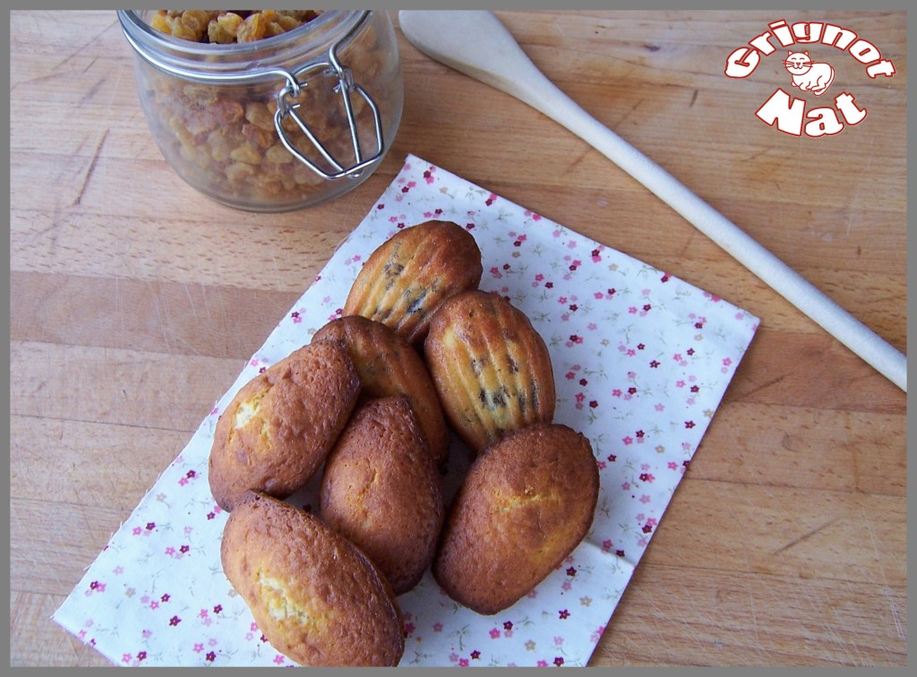 Madeleines aux raisins secs et au rhum