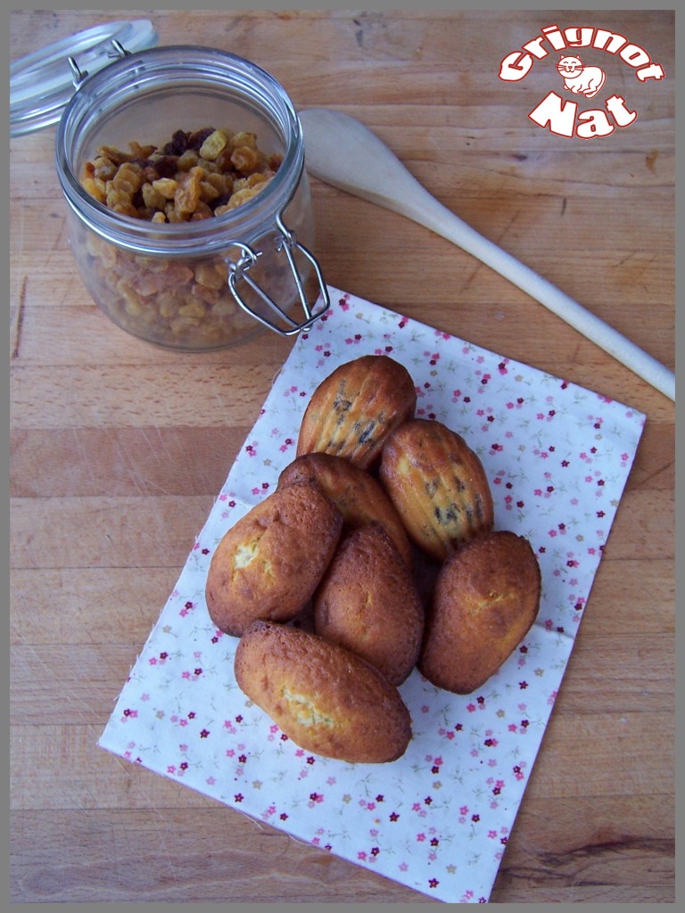 Madeleines aux raisins secs et au rhum 2