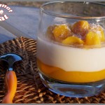 Pana cotta de coco et coulis de mangue