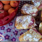 mini cakes abricots et nectarines