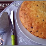 Moelleux à la noix de coco et pépites de chocolat