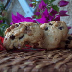 Biscuits à la farine de kamut
