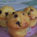 Muffins noix de coco et pépites de chocolat