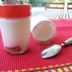 Yaourts aux fraises à la multidélices