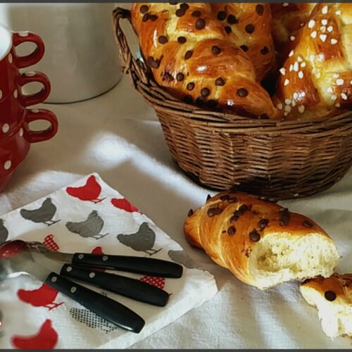 Brioches tressées individuelles