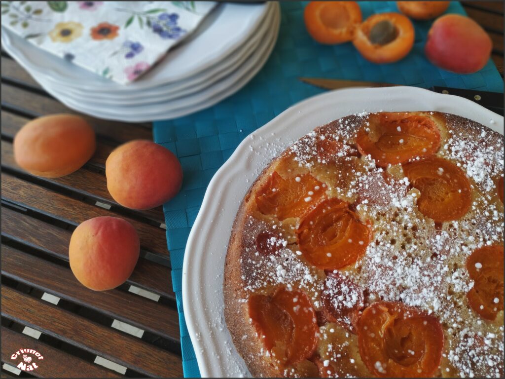 gâteau aux abricots 3