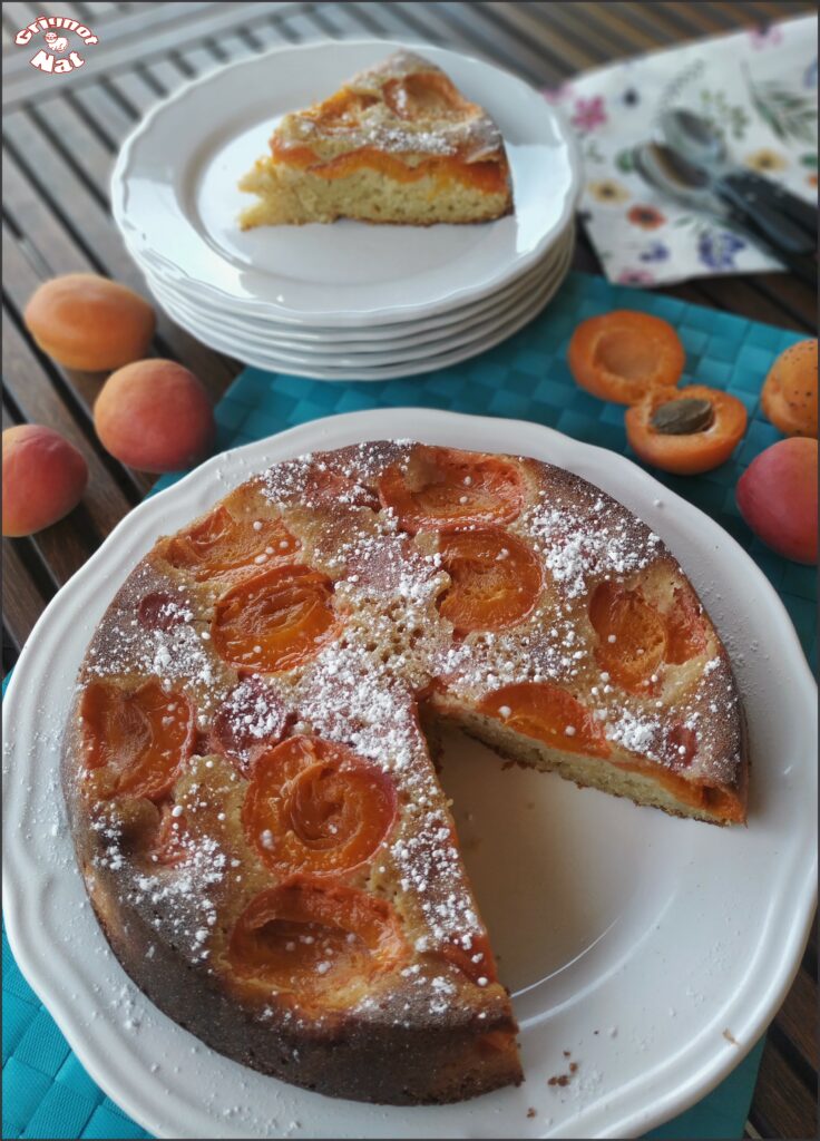 gâteau aux abricots 2
